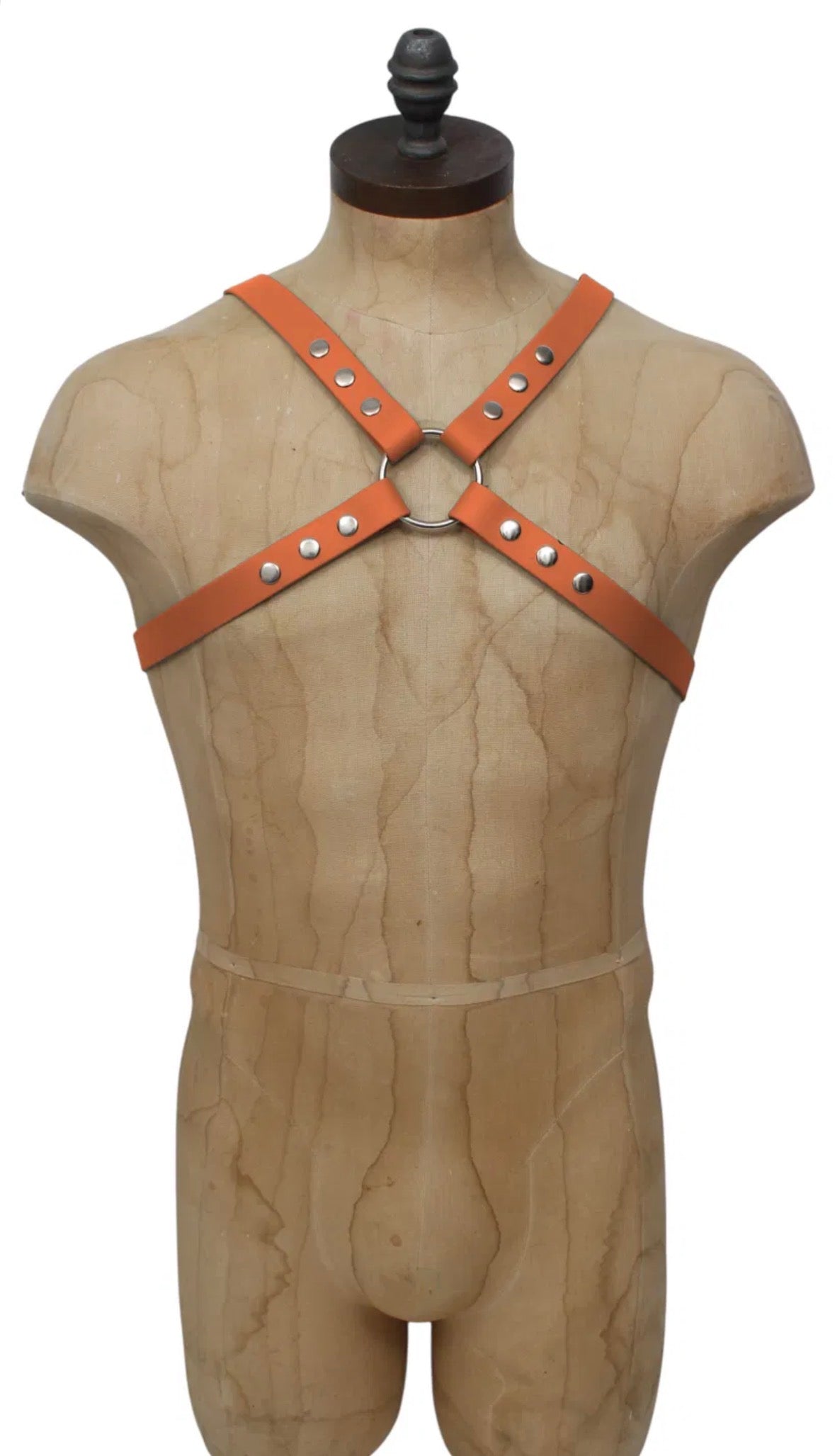 Vega Harnesses - Discounted colours - LAST CHANCE