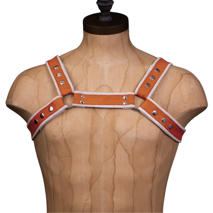 Vega Cork Bulldog Harness